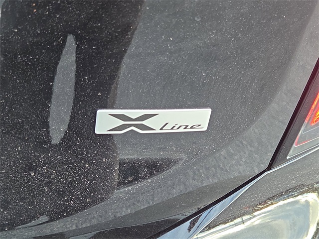 2025 Kia Telluride SX X-Line photo 4