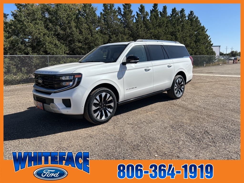 2025 Ford Expedition Platinum's photo