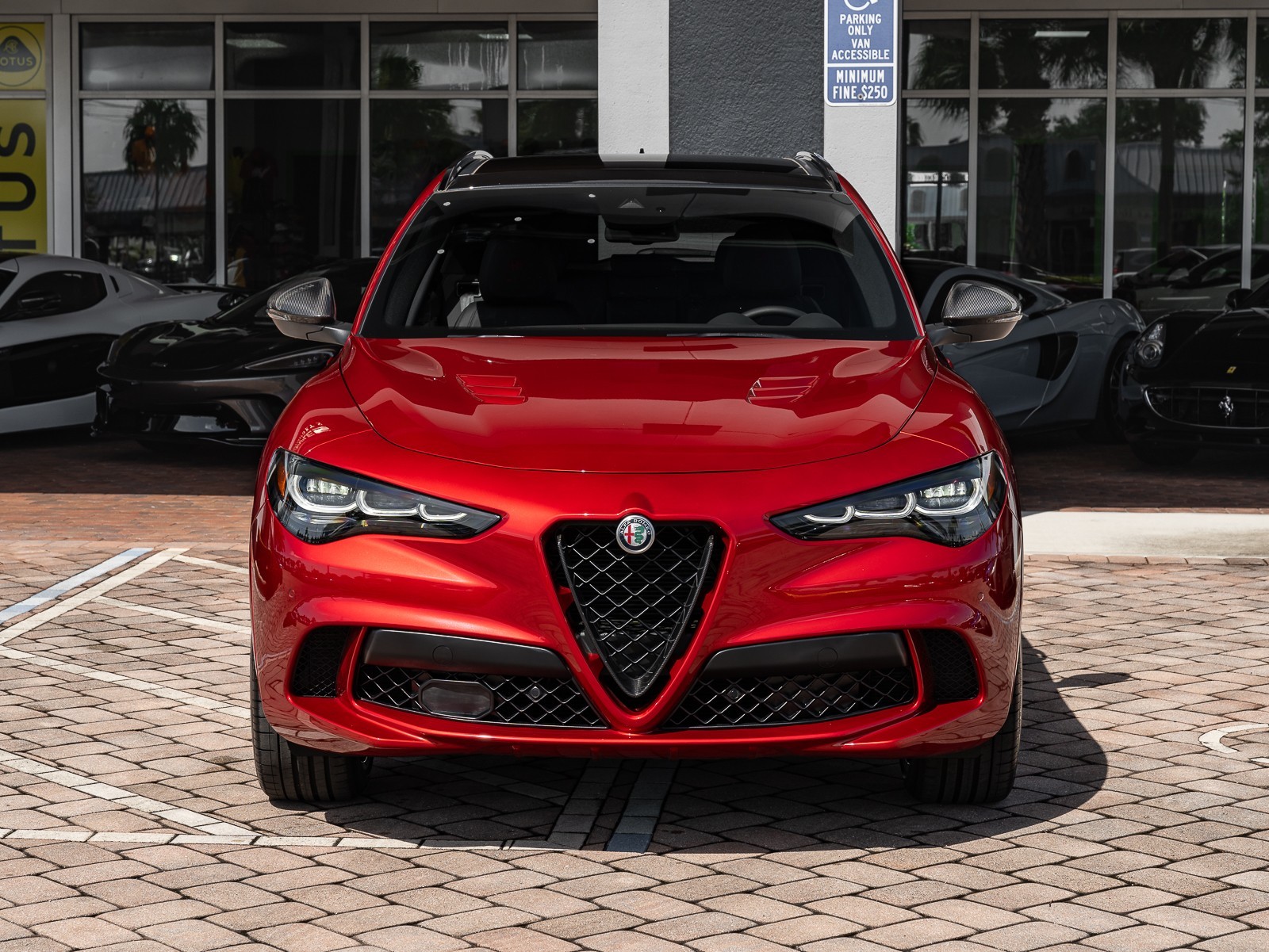 2024 Alfa Romeo Stelvio Quadrifoglio photo 11