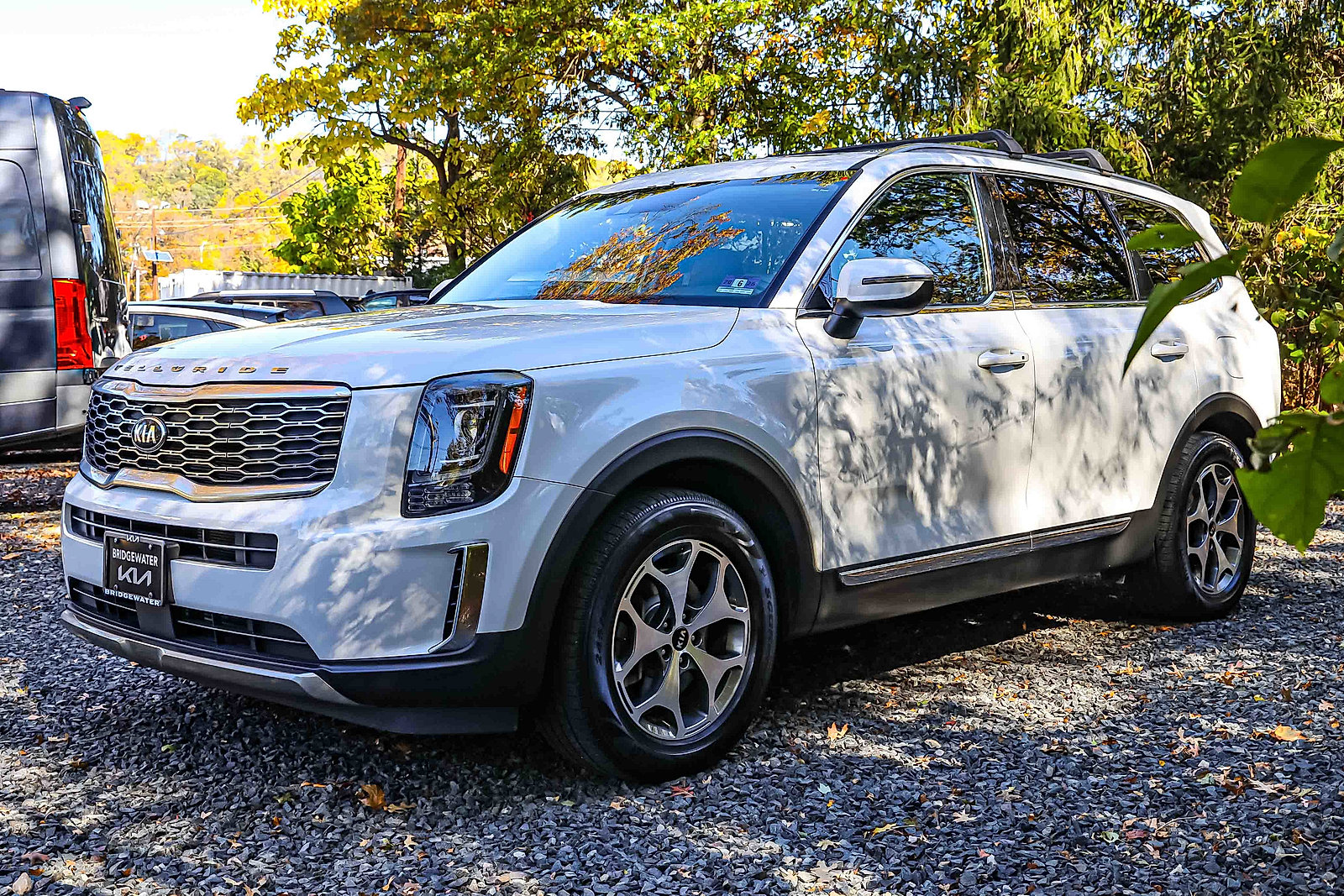 2020 Kia Telluride EX photo 3