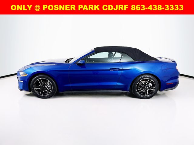 2023 Ford Mustang EcoBoost Premium photo 4