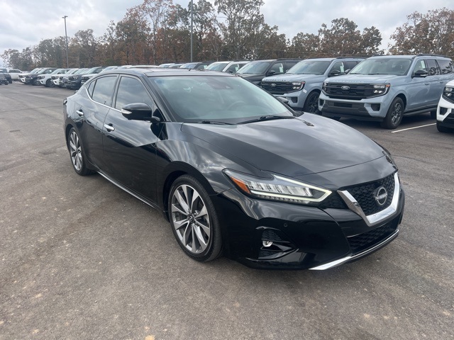 2023 Nissan Maxima Platinum photo 4