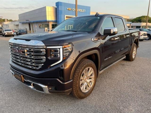 2023 Gmc Sierra 1500 Denali photo 3