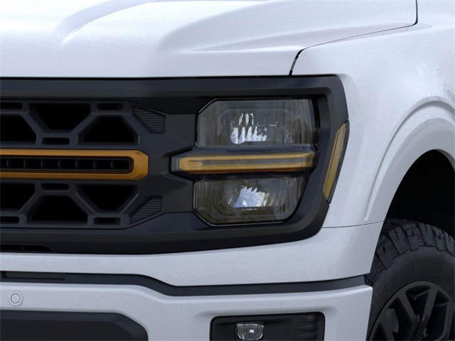 2025 Ford F-150 Tremor photo 17