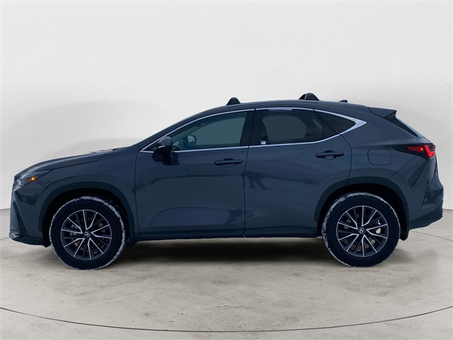 2025 Lexus NX 350h photo 2