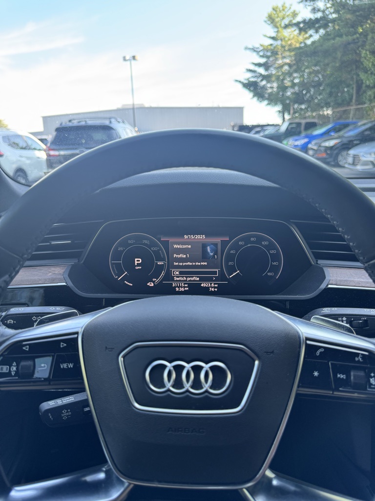 2019 Audi e-tron Prestige photo 12