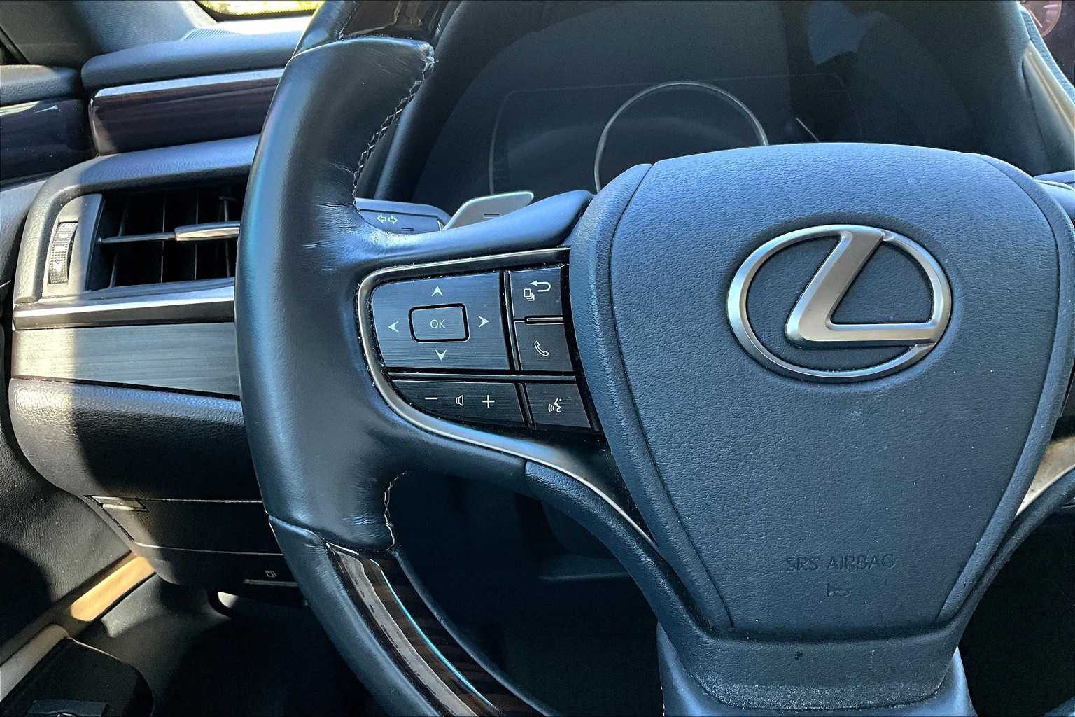 2019 Lexus ES Luxury photo 22