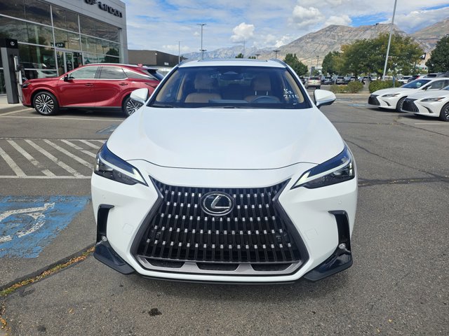 2026 Lexus NX 350h Premium photo 11