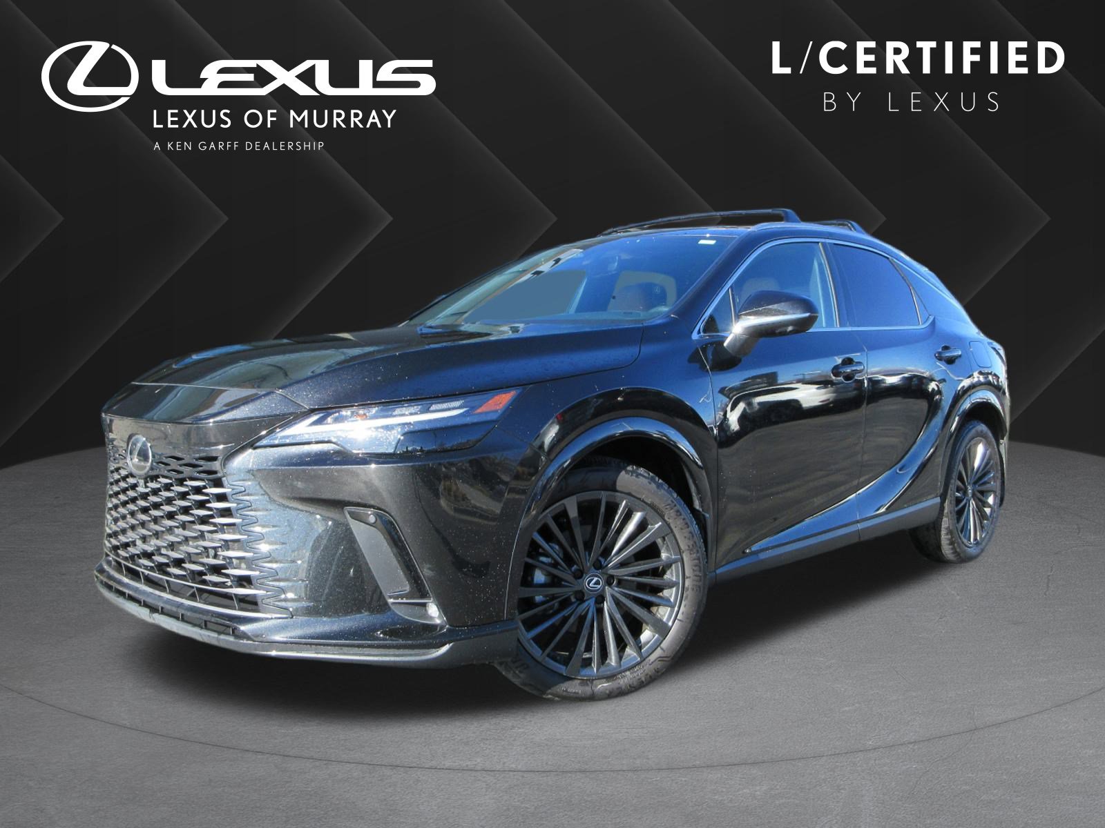 2024 Lexus RX Hybrid 350h's photo
