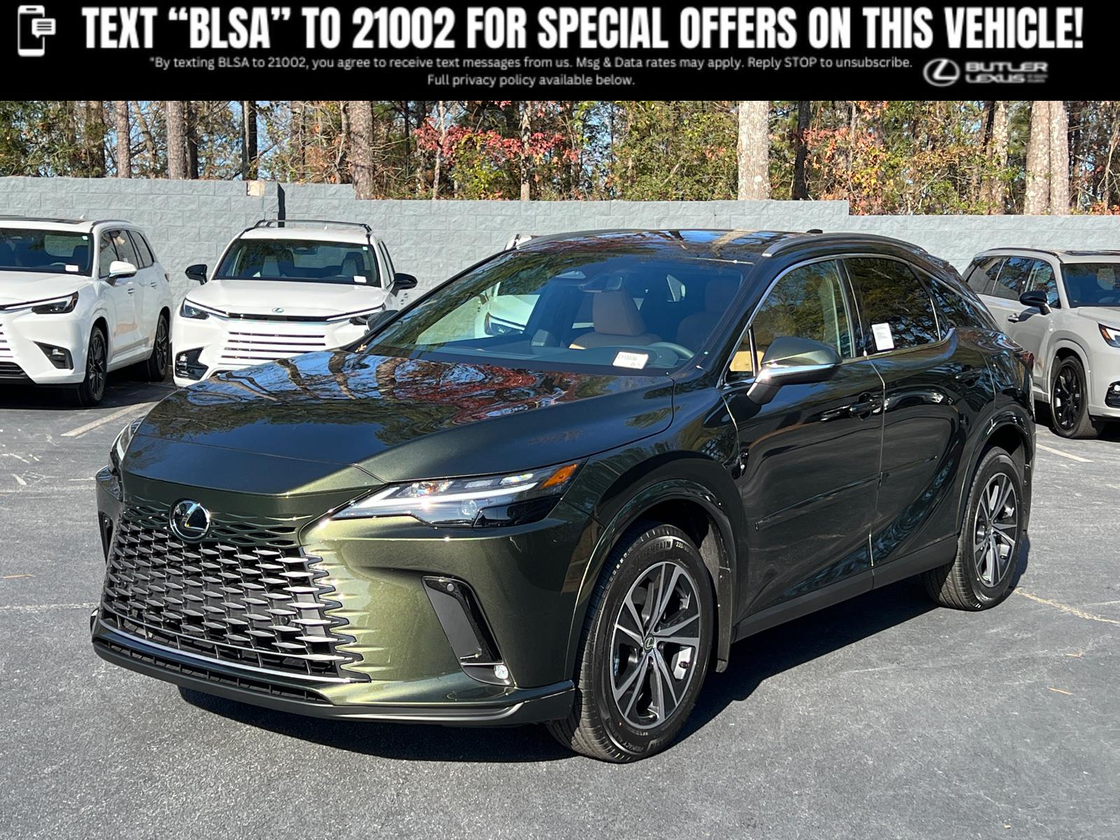2026 Lexus RX Hybrid 350h's photo