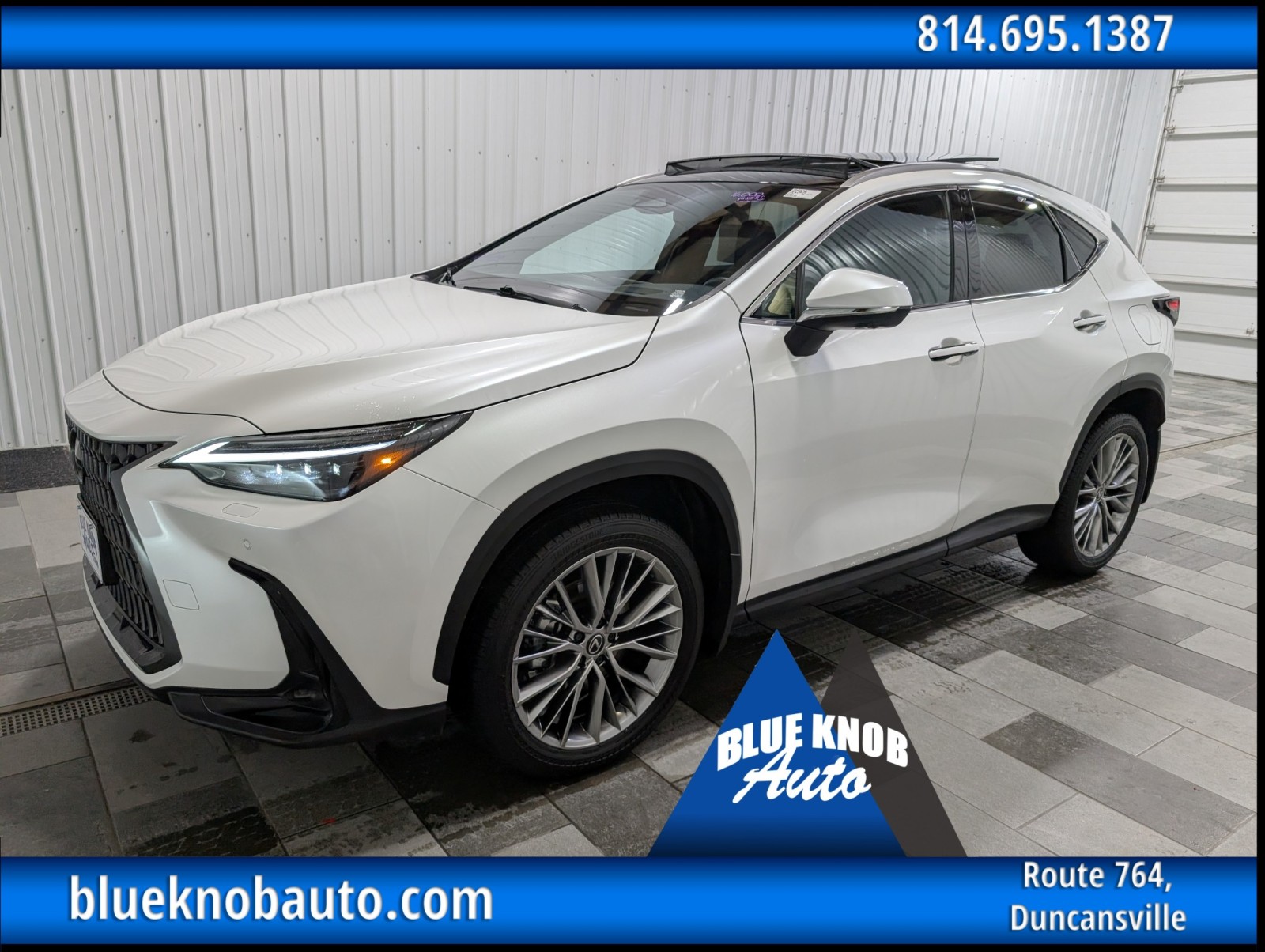 2024 Lexus NX 350's photo