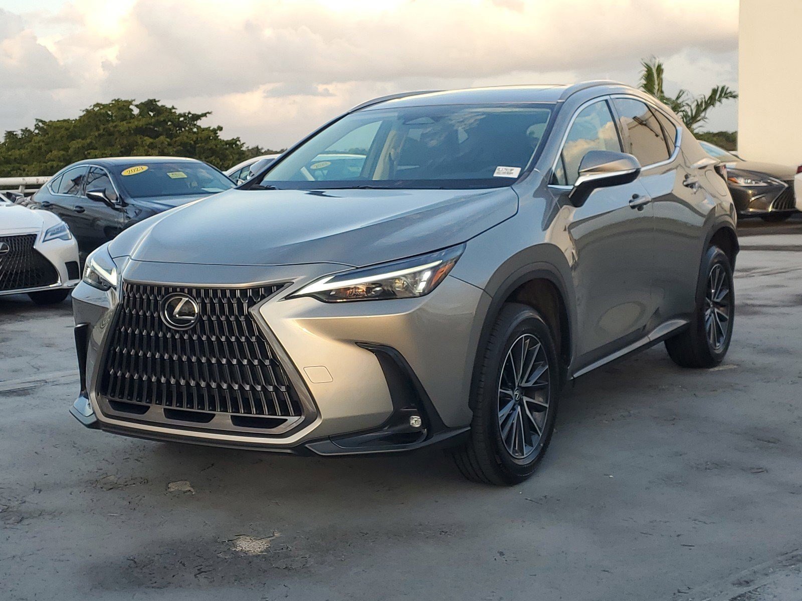 2024 Lexus NX 250 photo 4
