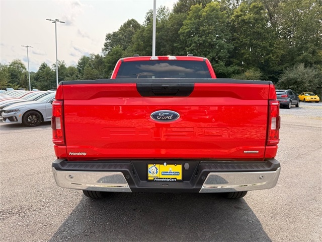 2023 Ford F-150 XLT photo 8