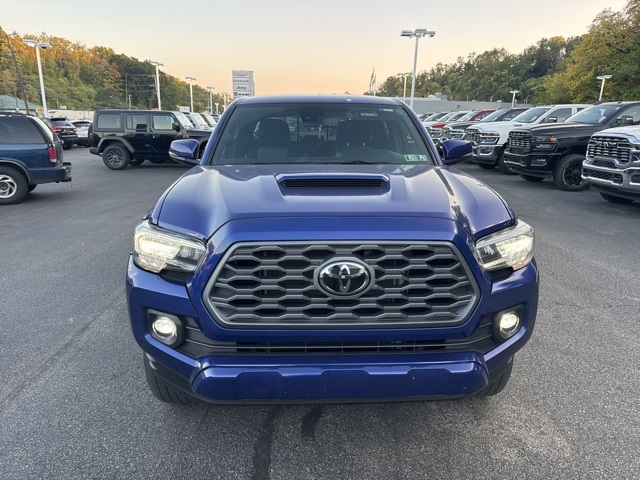 2023 Toyota Tacoma TRD Sport photo 3