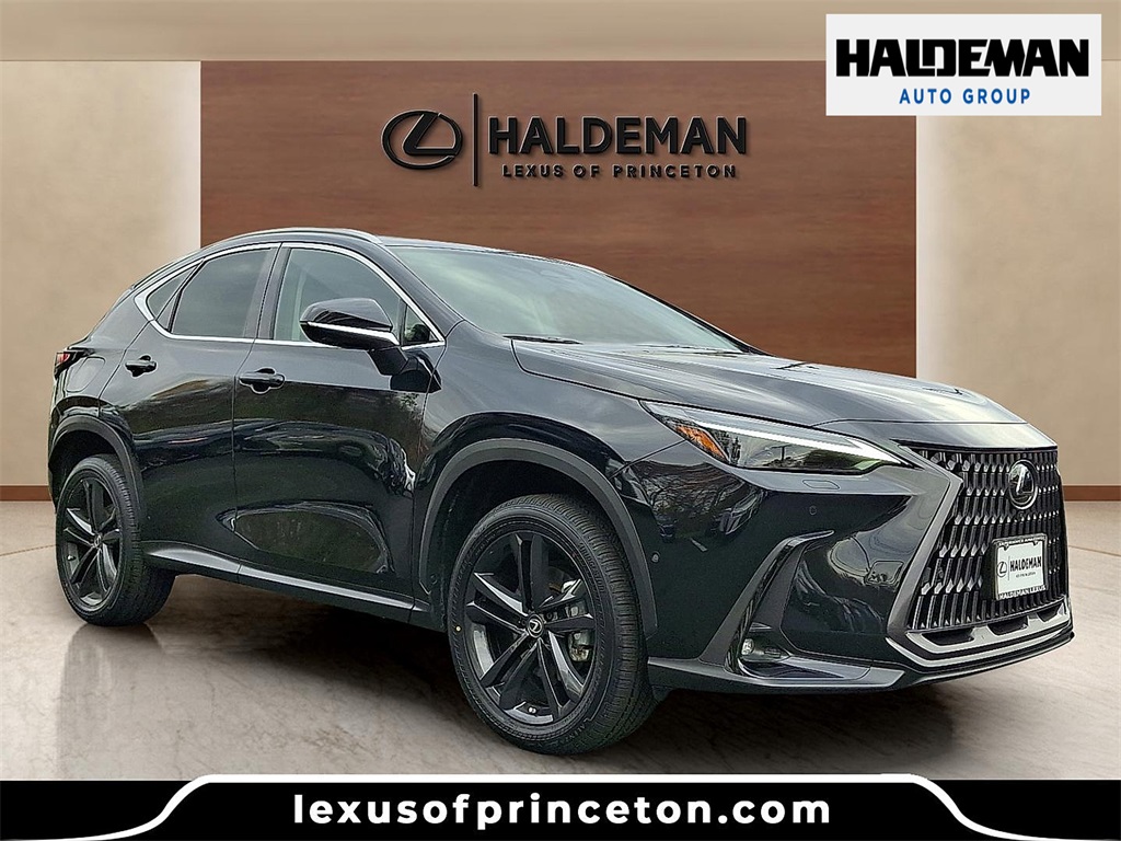 2024 Lexus NX PHEV 450h+'s photo