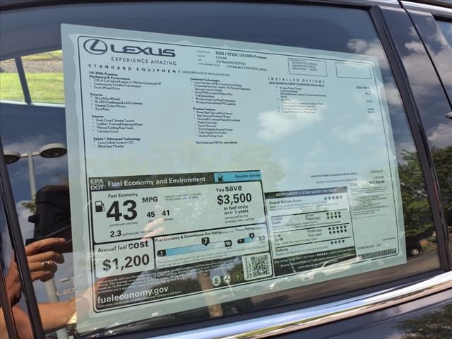2025 Lexus UX Premium photo 14