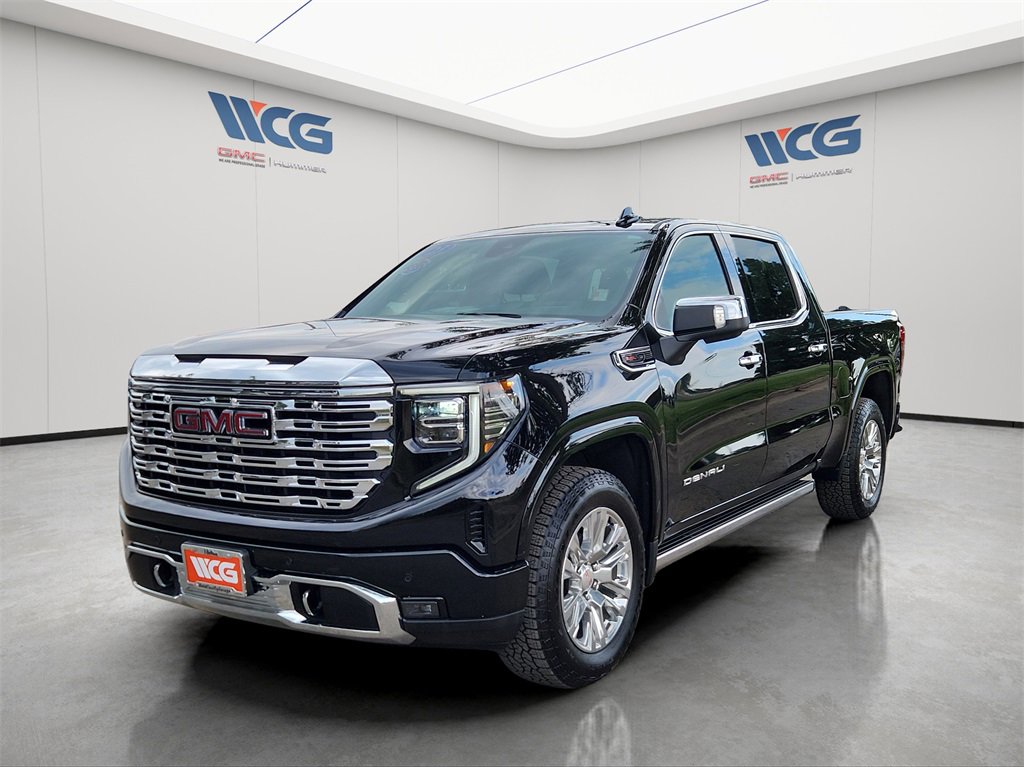 2023 Gmc Sierra 1500 Denali photo 4