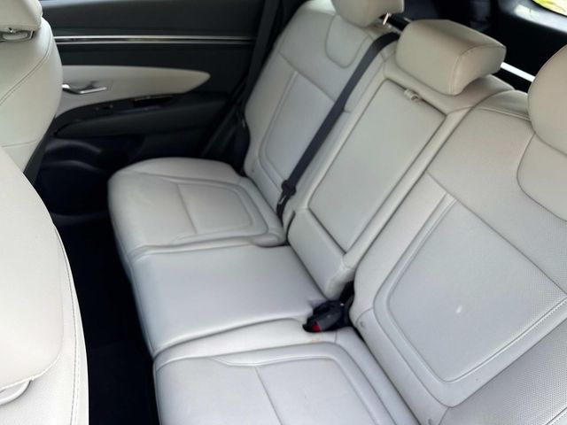 2024 Hyundai Tucson Limited photo 11