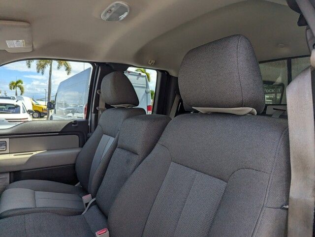 2010 Ford F-150 photo 11