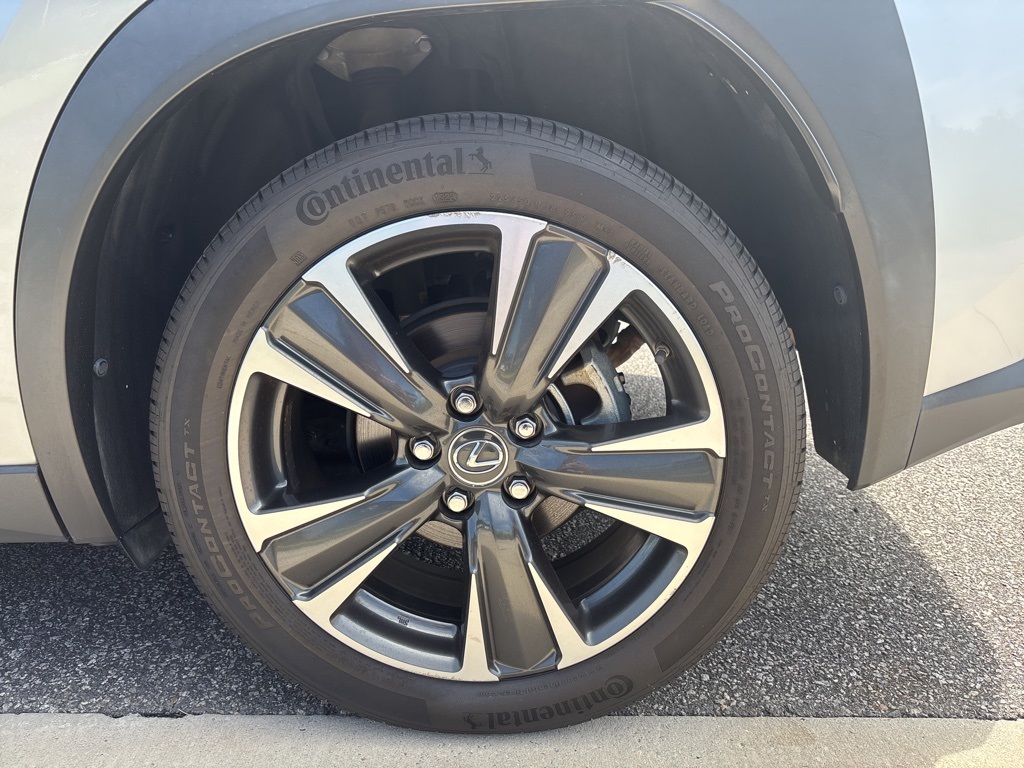 2020 Lexus UX 250h Premium photo 10