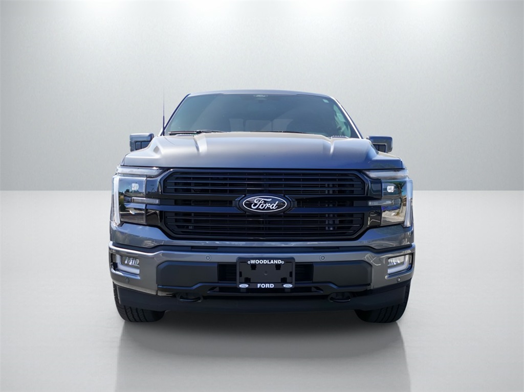 2024 Ford F-150 Platinum photo 3