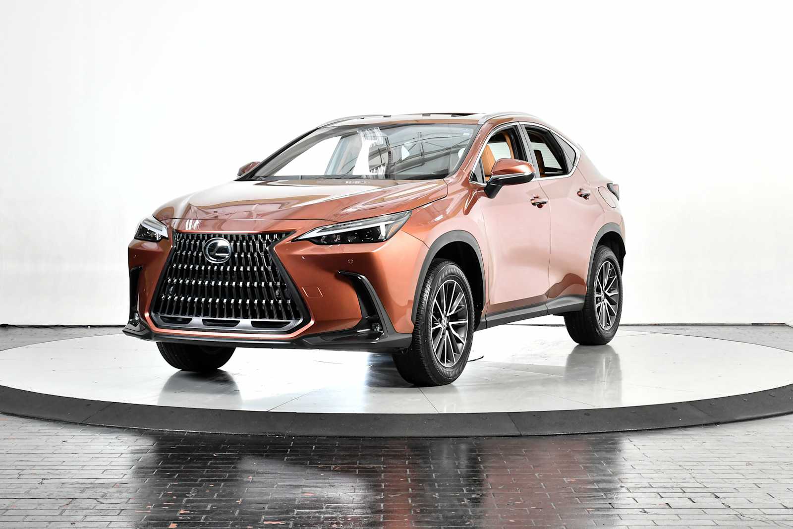 2025 Lexus NX 250