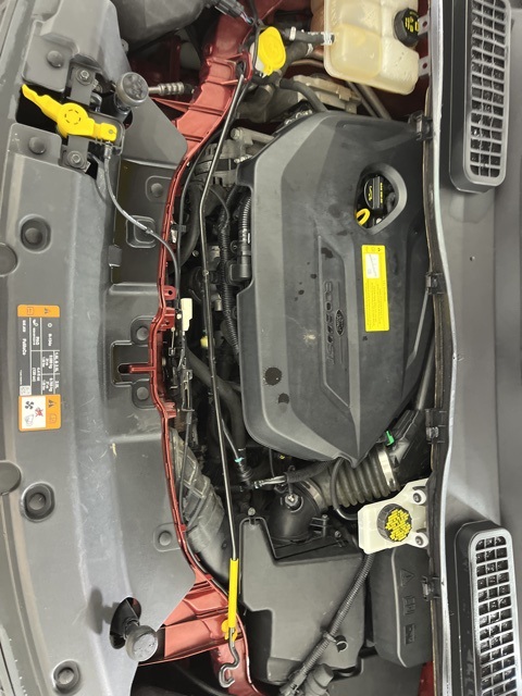 2016 Ford Escape SE photo 22