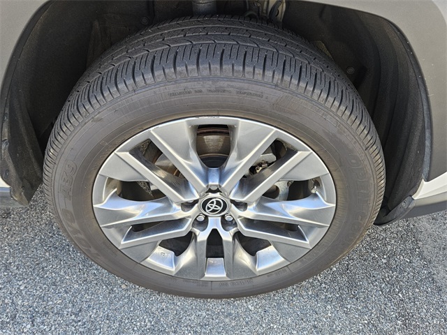 2023 Toyota RAV4 XLE Premium photo 10