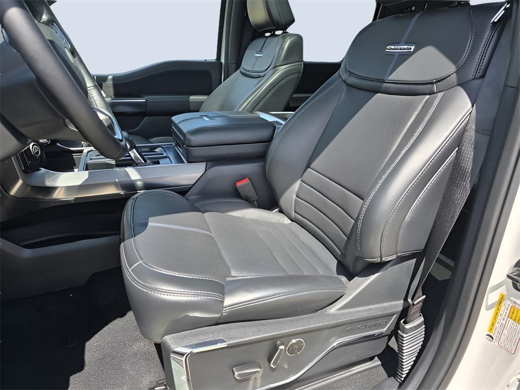 2024 Ford F-150 Platinum photo 8