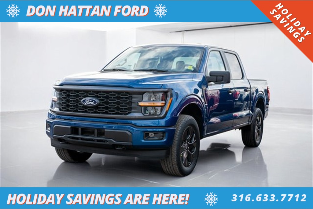 2025 Ford F-150 STX's photo