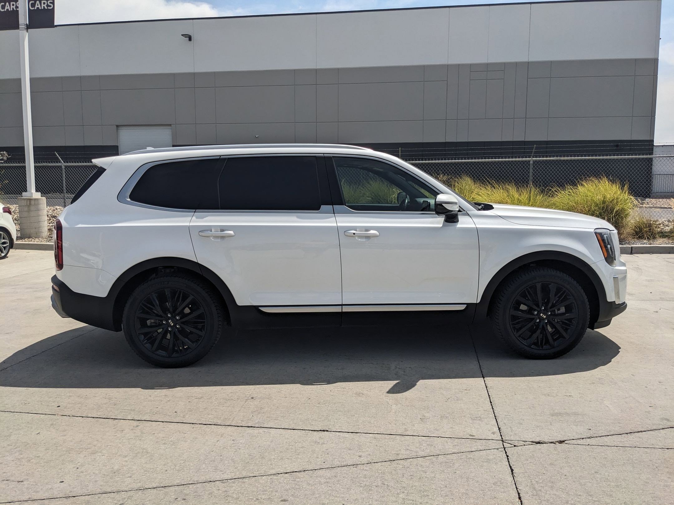 2020 Kia Telluride SX photo 6