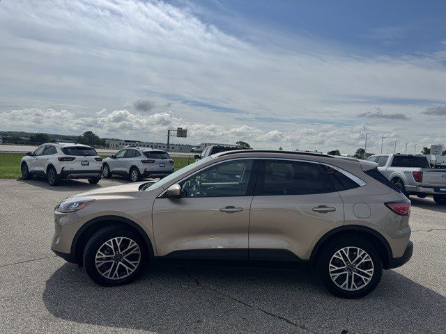 2021 Ford Escape SEL Hybrid photo 4