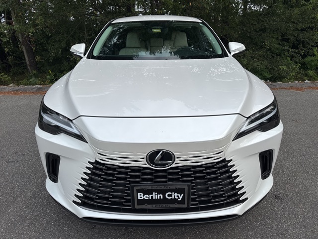 2024 Lexus RX 350 photo 8