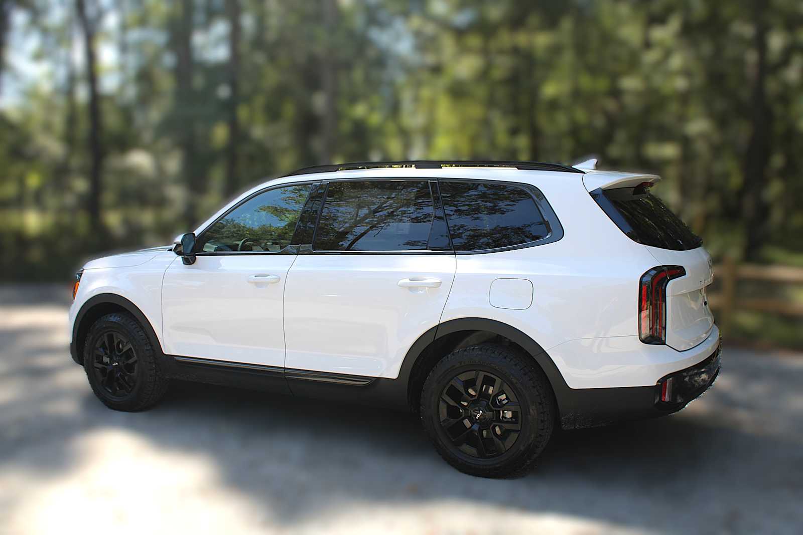 2025 Kia Telluride SX X-Line photo 5
