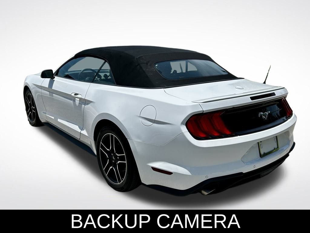 2023 Ford Mustang EcoBoost Premium photo 4