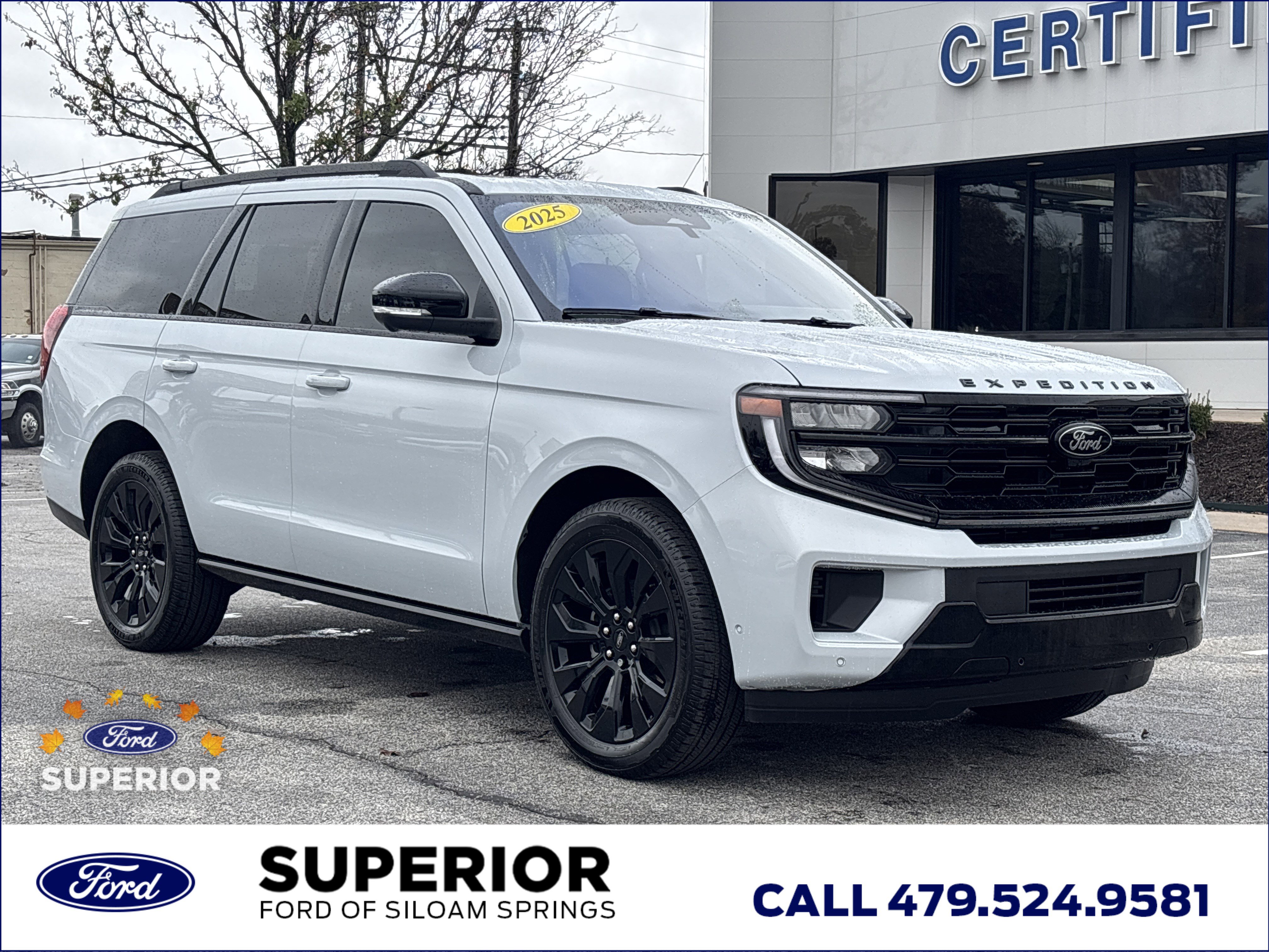 2025 Ford Expedition Platinum's photo