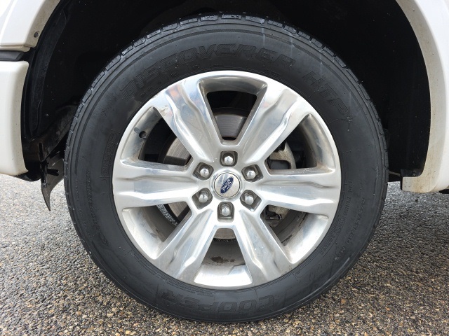 2016 Ford F-150 Platinum photo 10
