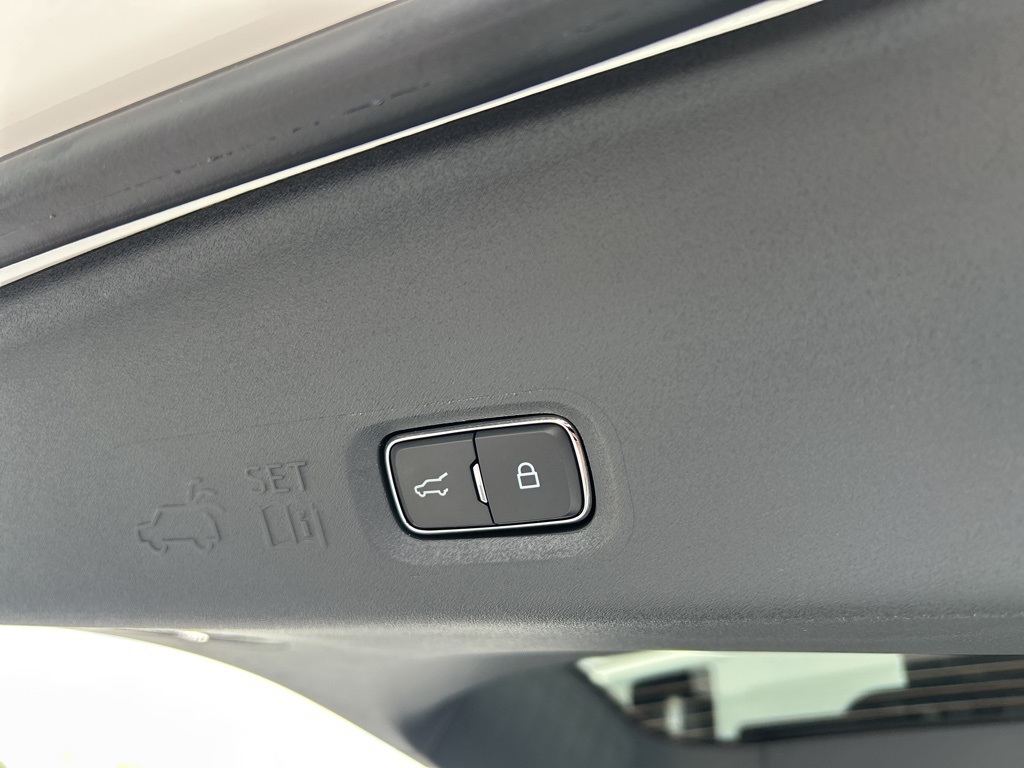 2025 Ford Expedition Platinum MAX photo 20