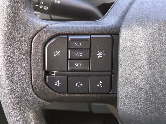 2021 Ford F-150 Tremor photo 23