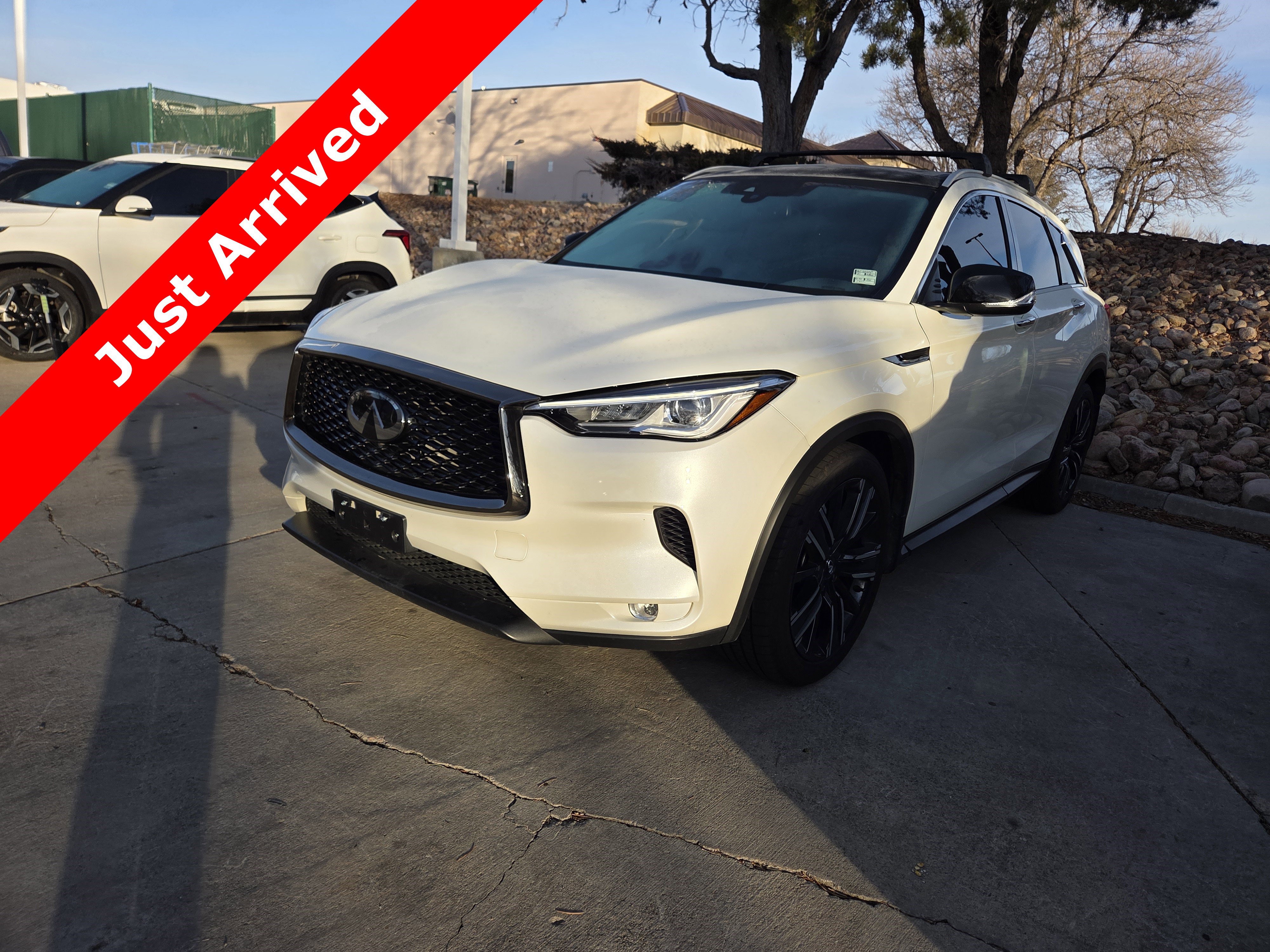 2021 INFINITI QX50 Luxe