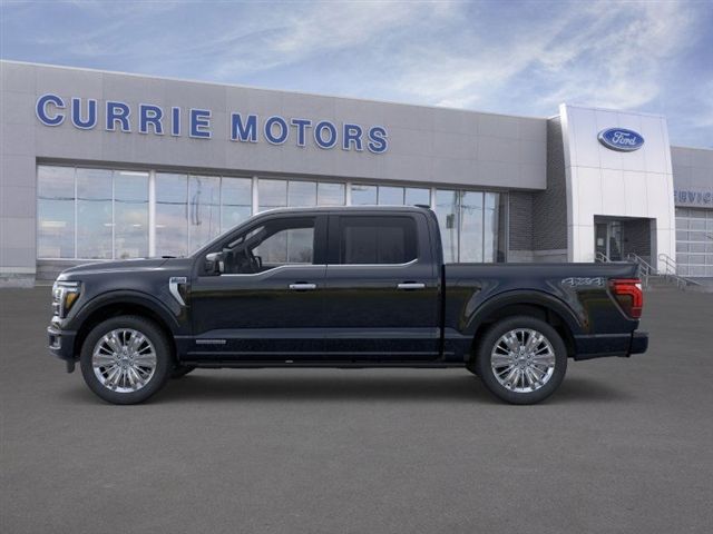 2025 FORD F-150 - Image 25