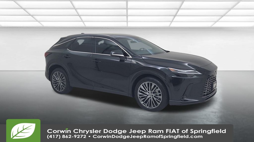 2024 Lexus RX 350 Luxury photo 2