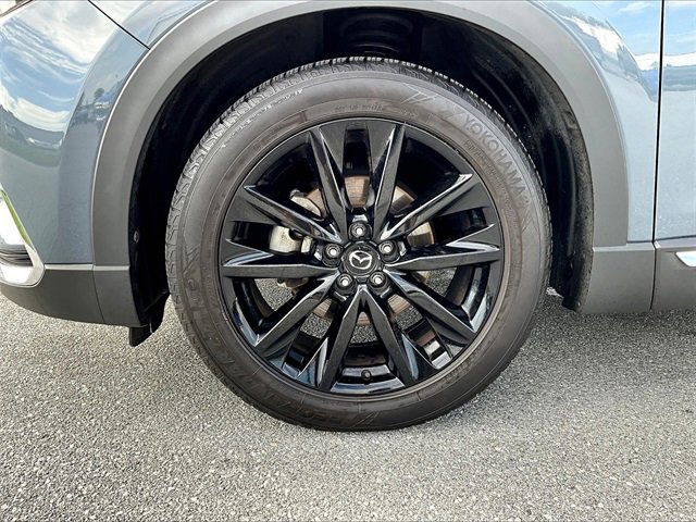 2021 Mazda CX-9 Carbon photo 7