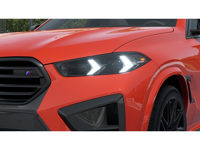 2026 Bmw X6 photo 5