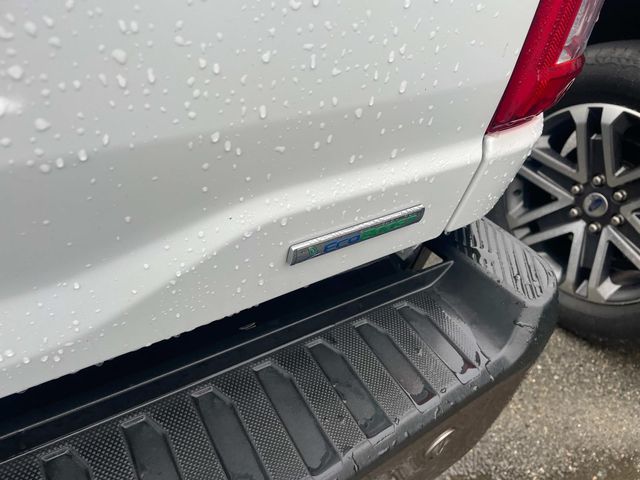 2023 Ford F-150 King Ranch photo 6