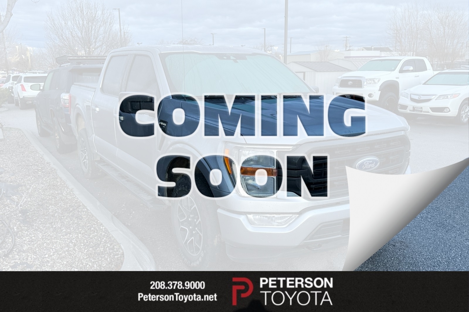 2021 Ford F-150 XLT's photo