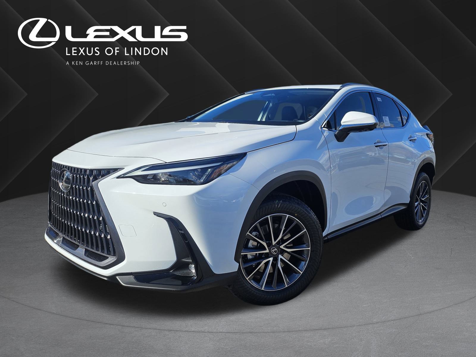 2026 Lexus NX PHEV 450h+'s photo