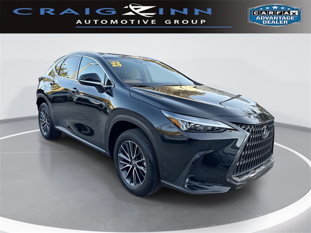 2025 Lexus NX 250's photo