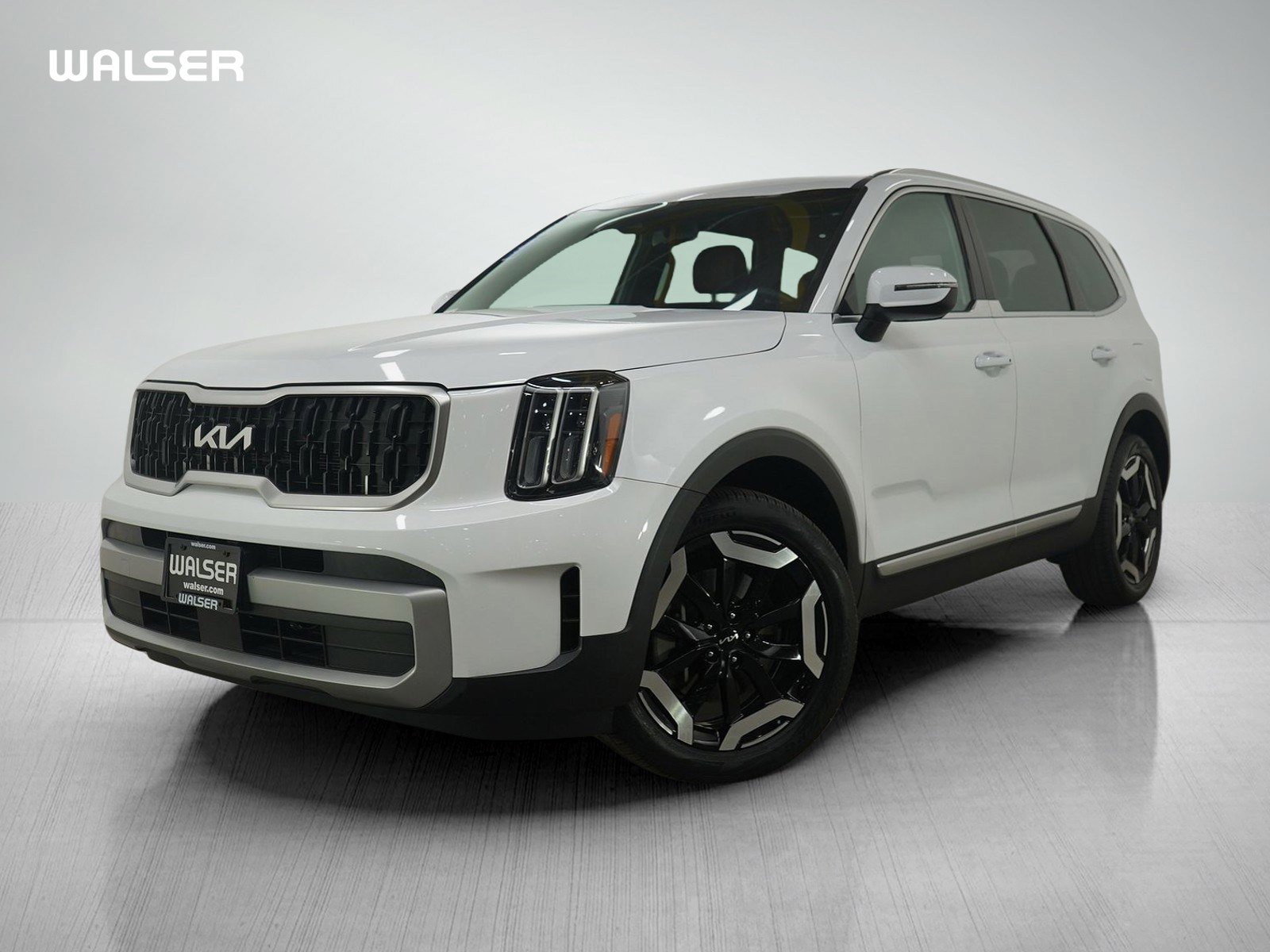 2024 Kia Telluride EX's photo