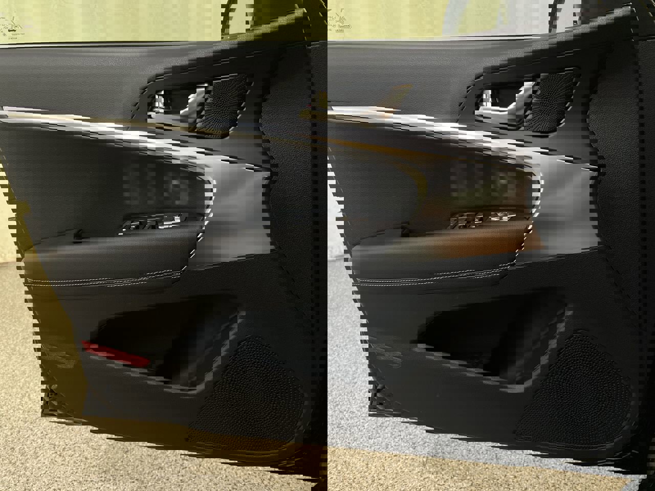 New 2026 Vik Black Genesis 2.5T Standard image 17